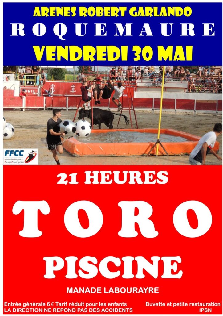 Toro Piscine