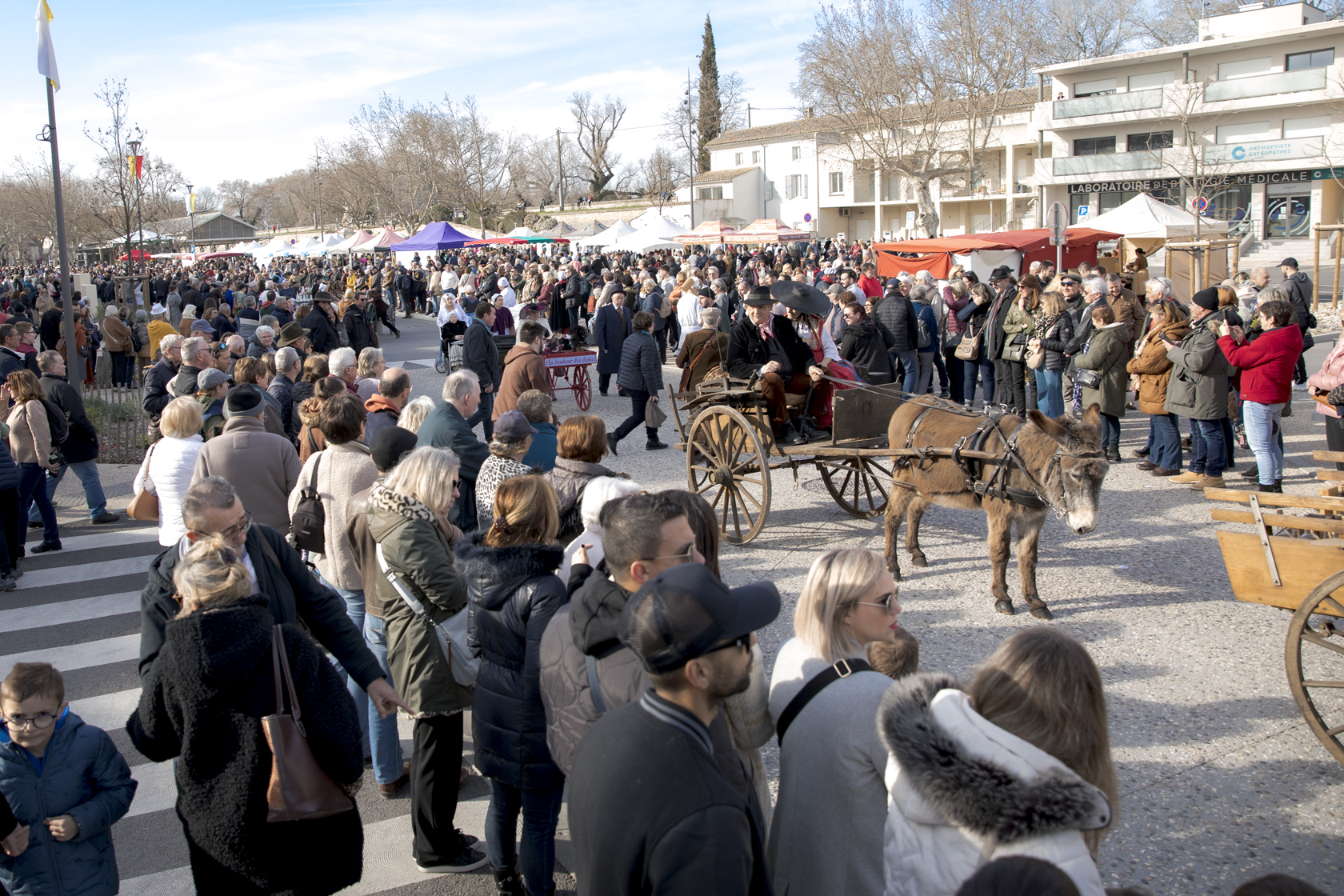 Calèche et promeneurs en centre-ville
