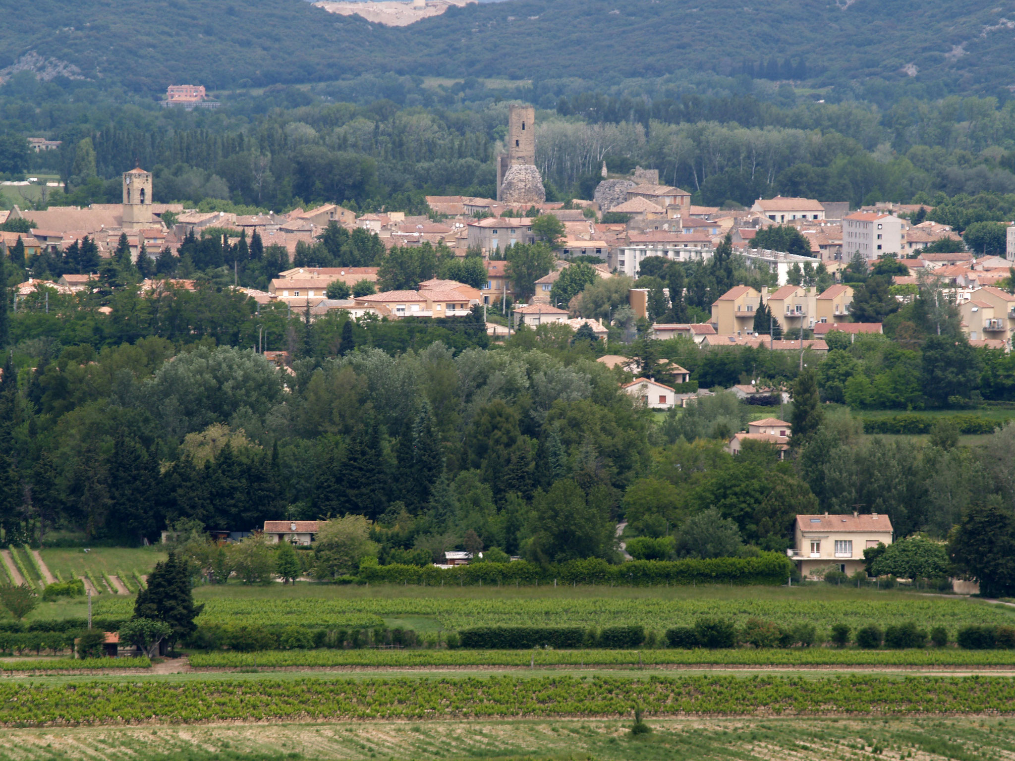 Le village et sa collégiale vus depuis le vignoble