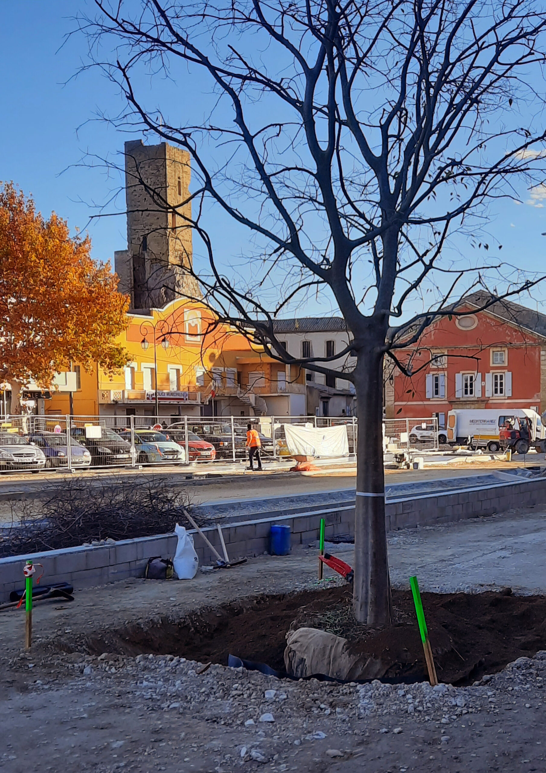 Arbre fraîchement planté sur l’esplanade du boulevard National, la tour et les façades de la place en arrière-plan