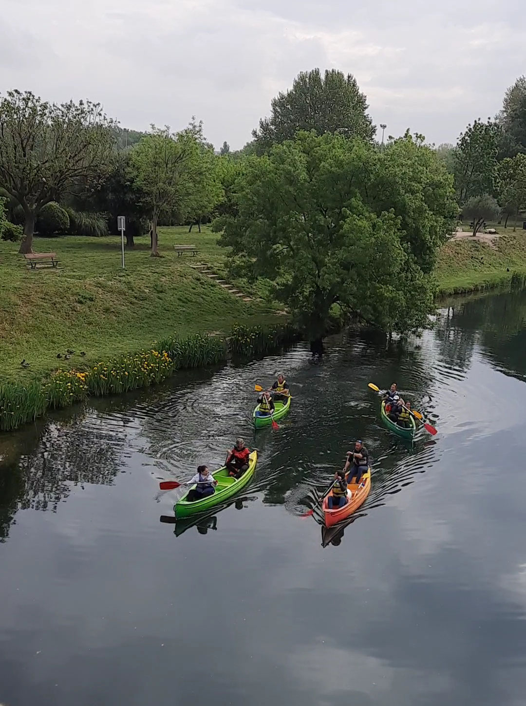 Quatre canoës colorés glissent sur la lône, bordée d’arbres et de pelouses
