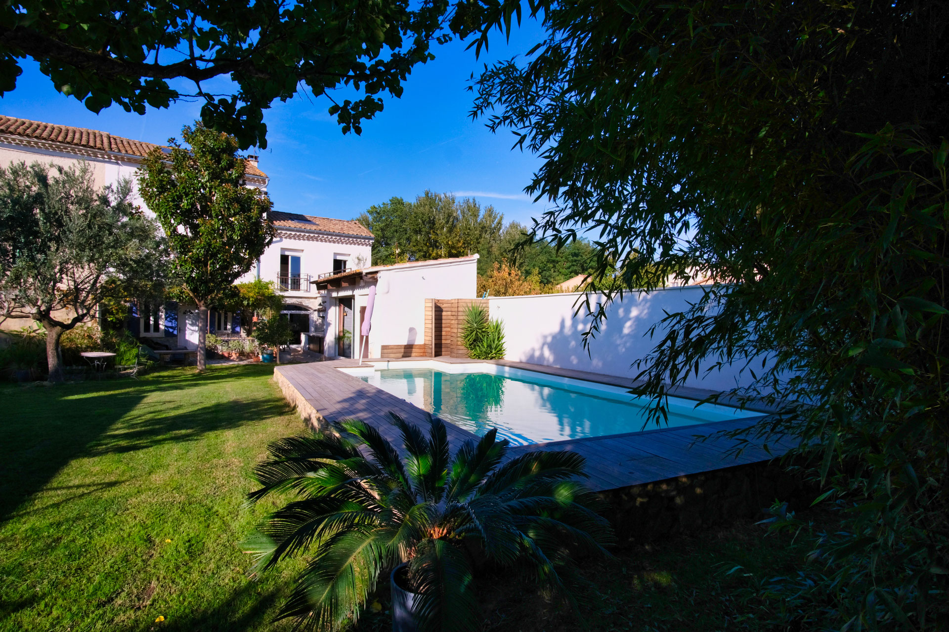 Piscine bordée de pelouse et de palmiers devant le mas