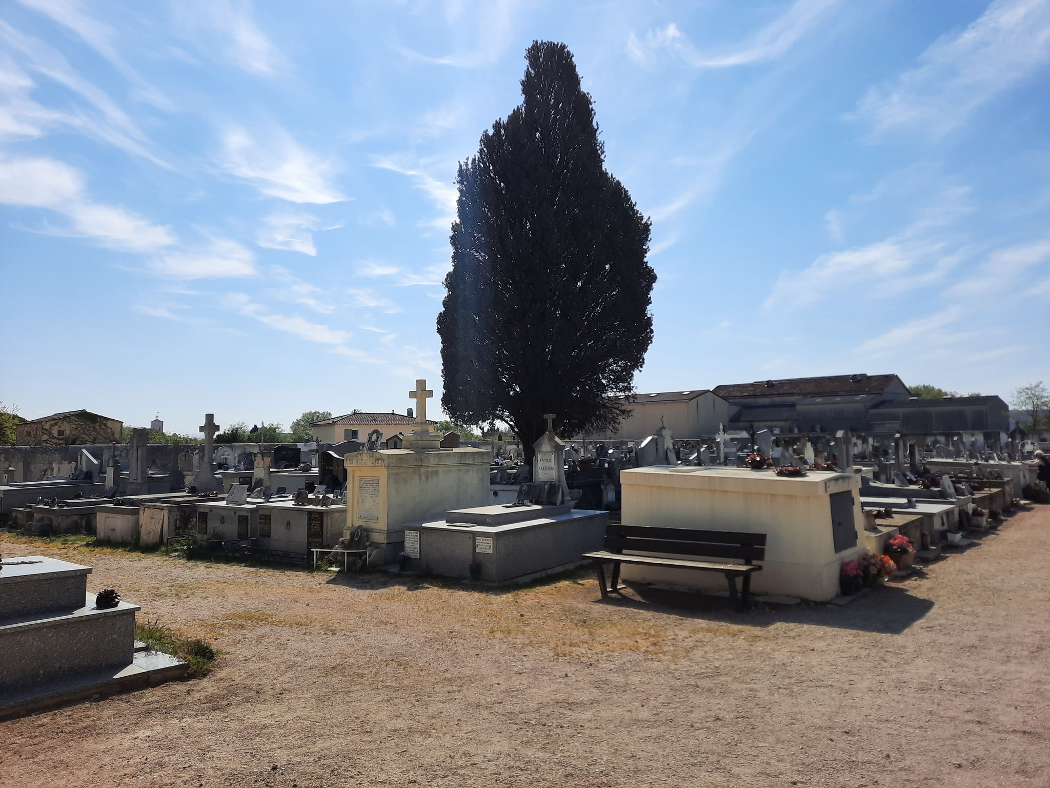 Allée du cimetière municipal bordée de tombeaux, un grand cyprès et une croix sous un ciel bleu