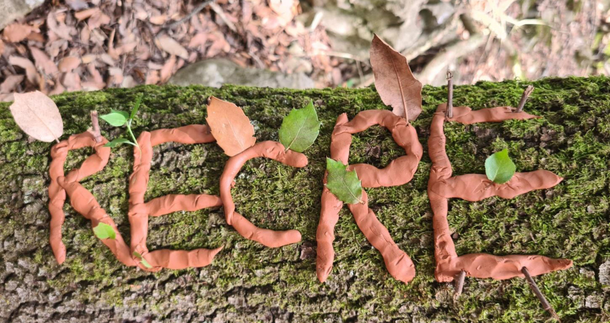 Lettres orange formant le mot Récré, posées sur de la mousse avec des feuilles