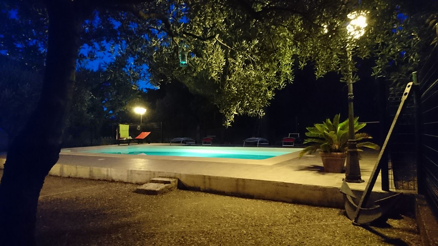 Piscine éclairée la nuit dans un jardin arboré